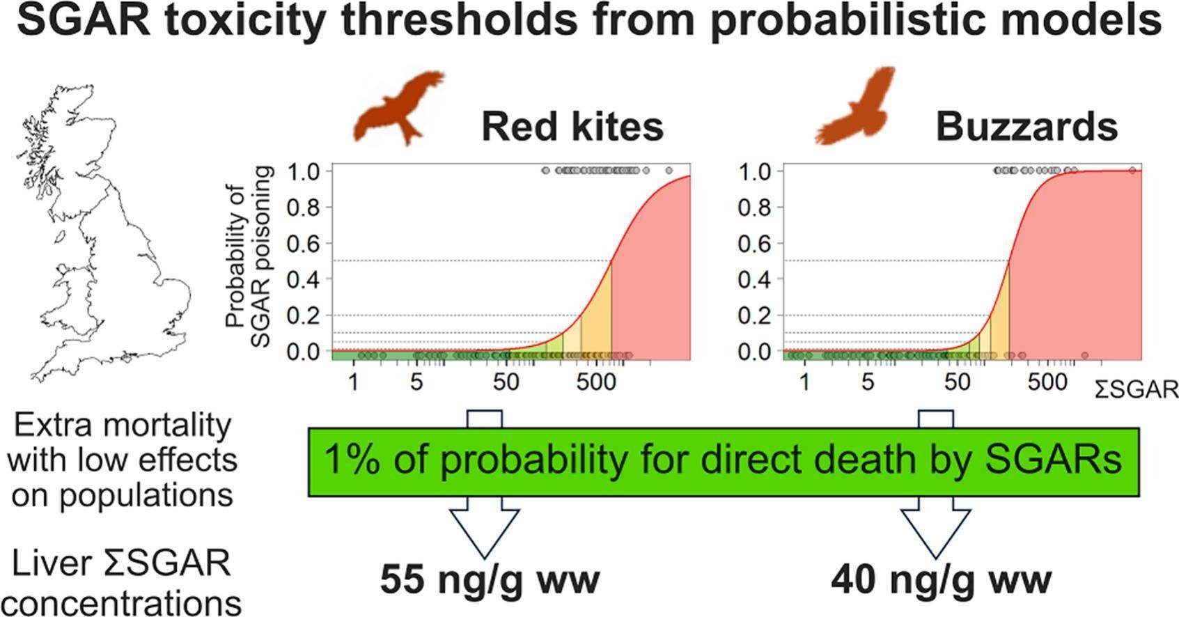 Graphical abstract summarising rodenticide toxicity thresholds for common buzzards and red kites
