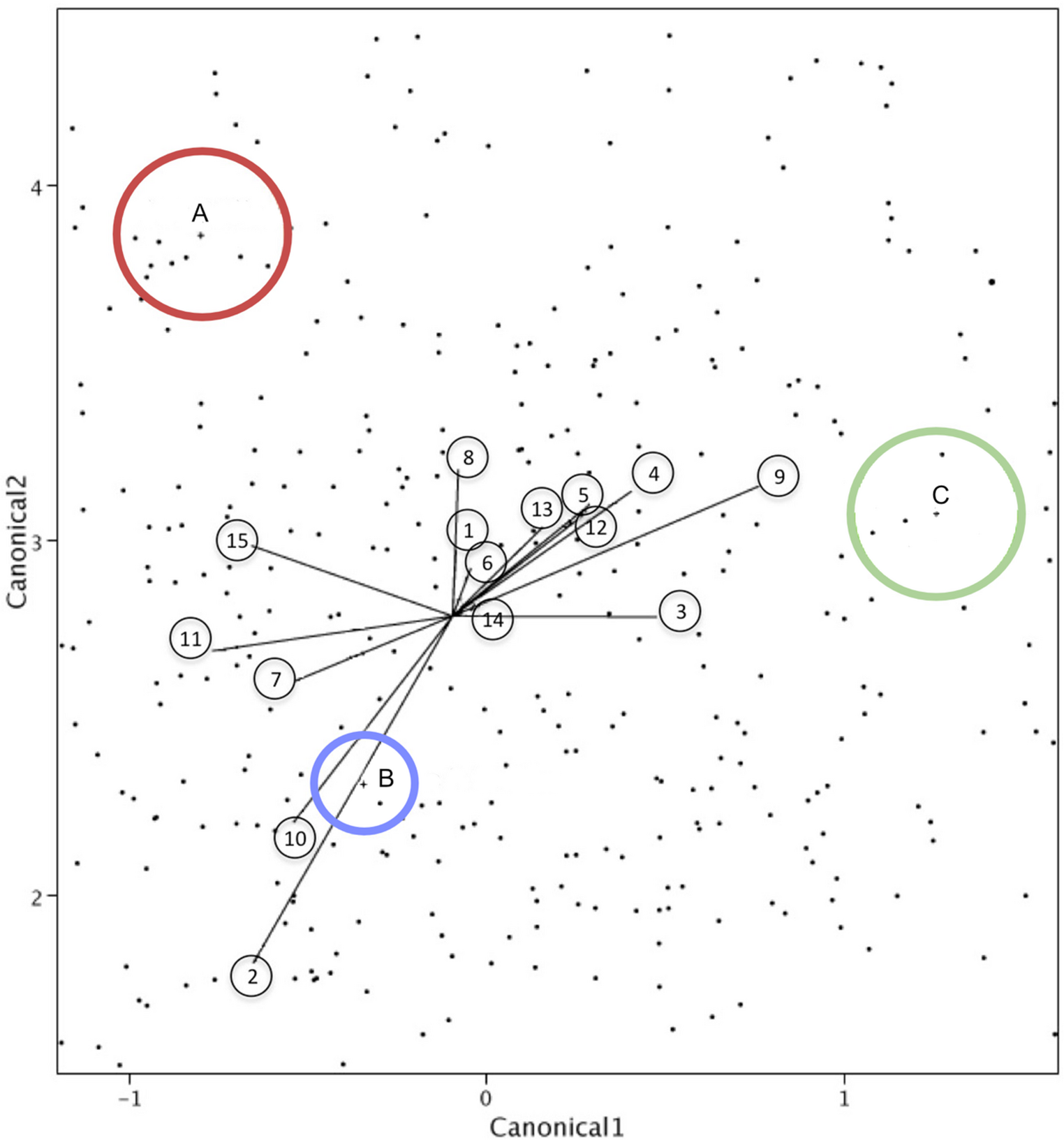 Discriminant-analysis plot separating Andalusian roe deer antlers from other Spanish and Central/Eastern European populations