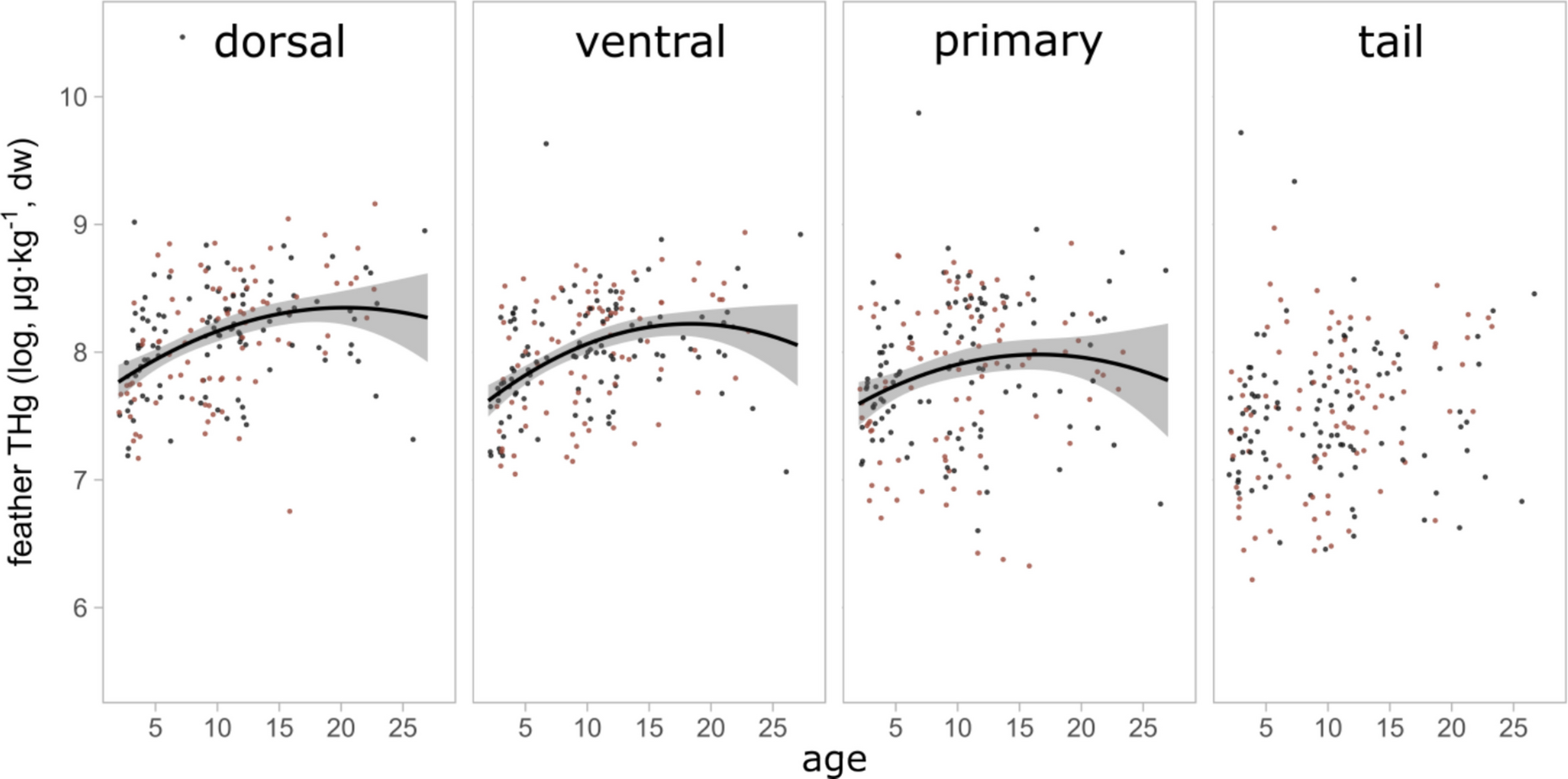 Four scatterplots showing total mercury concentration in common tern dorsal, ventral, primary and tail feathers in relation to age