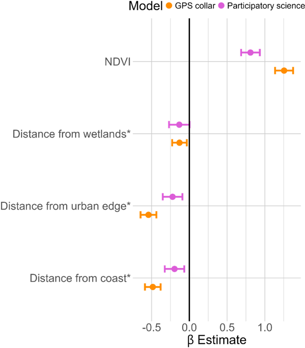 Caracal habitat-use model estimates from GPS collar and participatory science data
