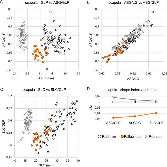 Four graphs showing scapula size and shape indices for red deer, fallow deer and roe deer