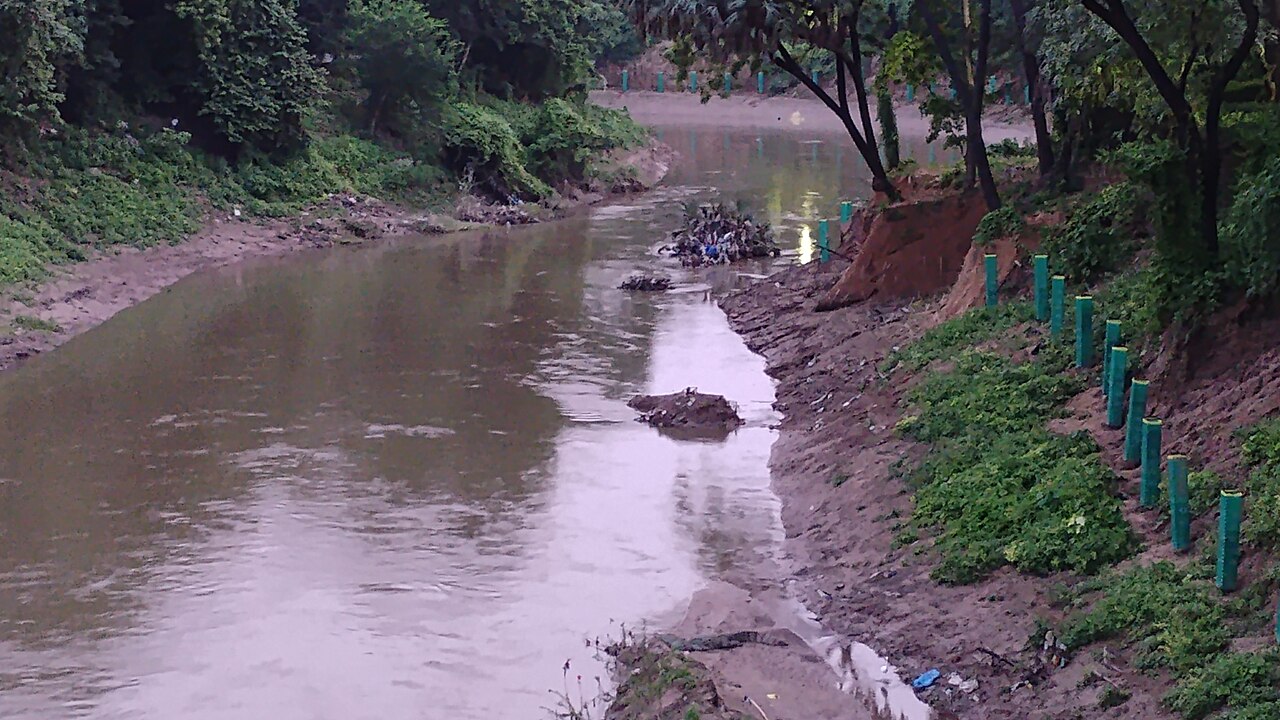 Vishwamitri River in Vadodara