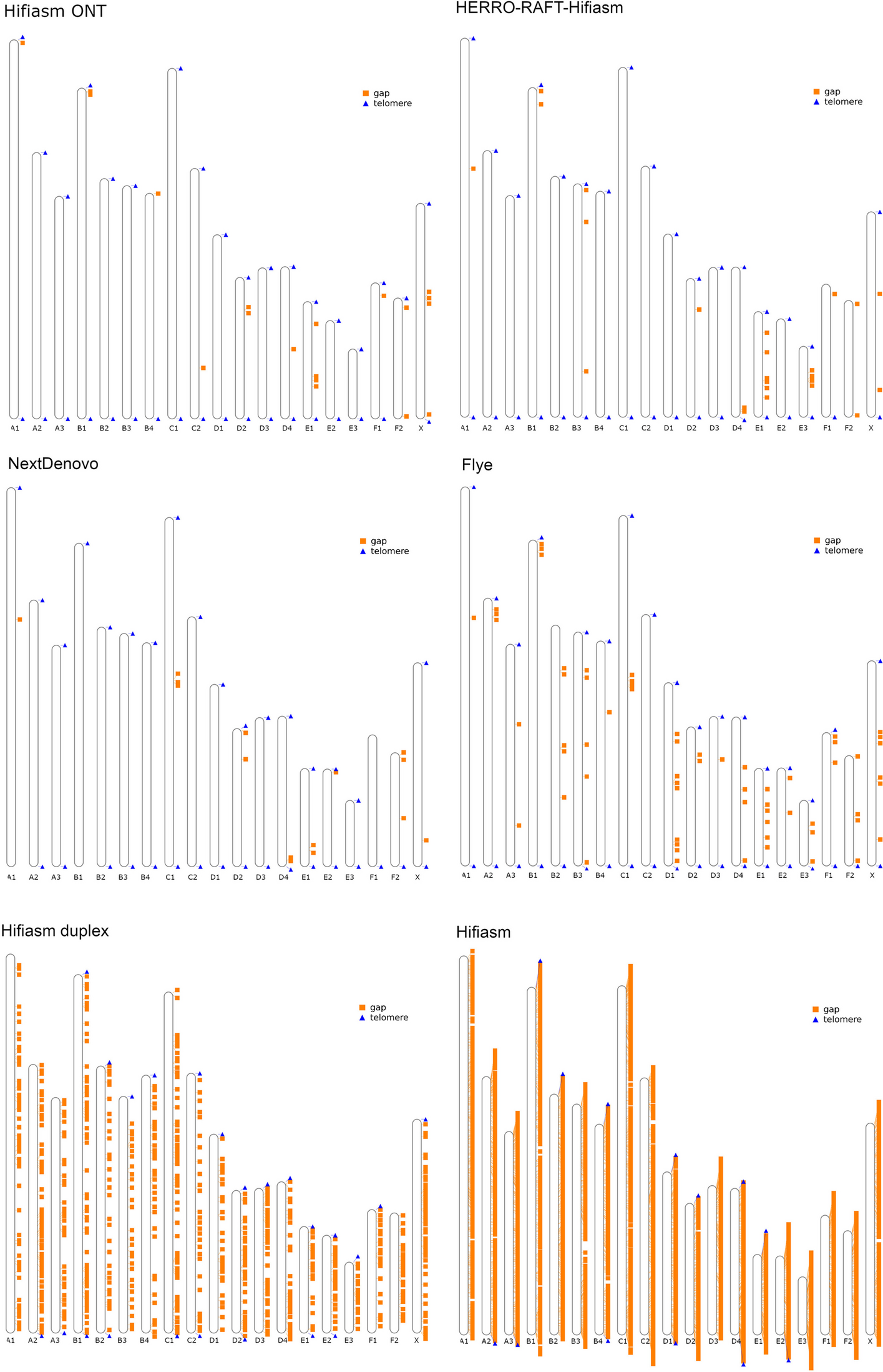 Telomeric repeat sequences and gaps across Sumatran tiger genome assemblies
