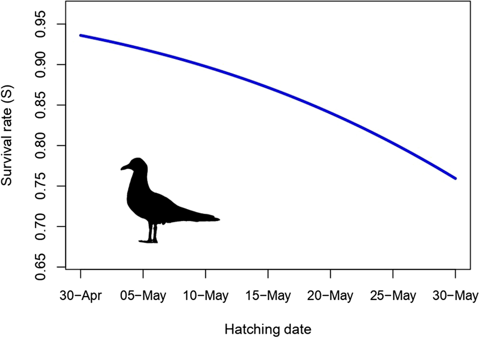 Association between hatching date and first-year monthly survival in black-headed gulls