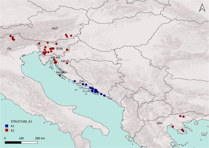 Map showing Dalmatian and Pannonian ancestry probabilities in golden jackals around the Adriatic and neighbouring regions