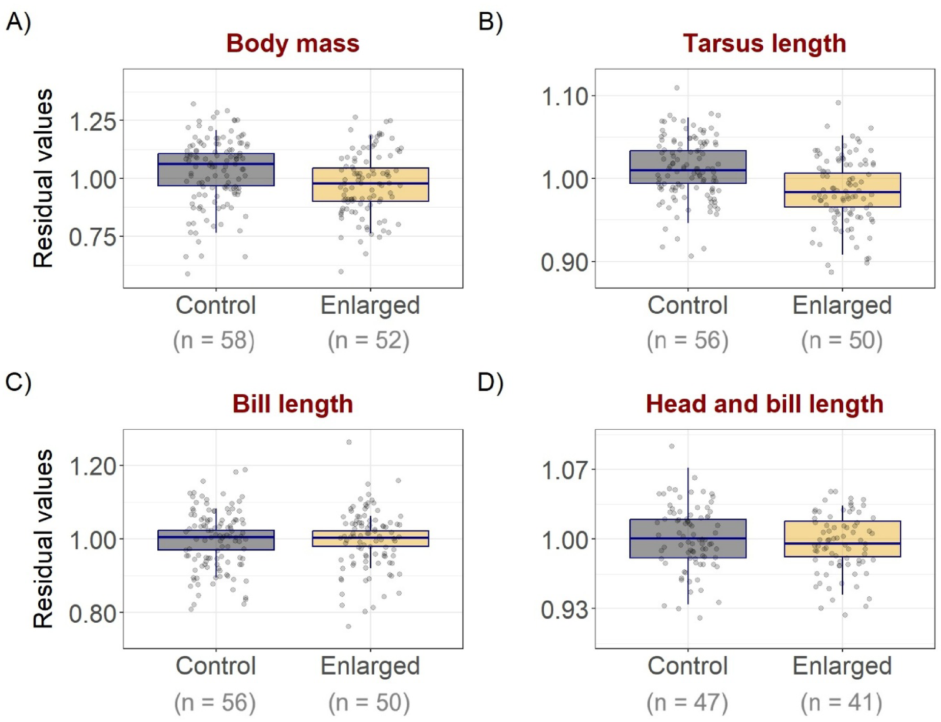 Body mass and morphometric comparisons for Common Ringed Plover chicks from four-egg and five-egg clutches