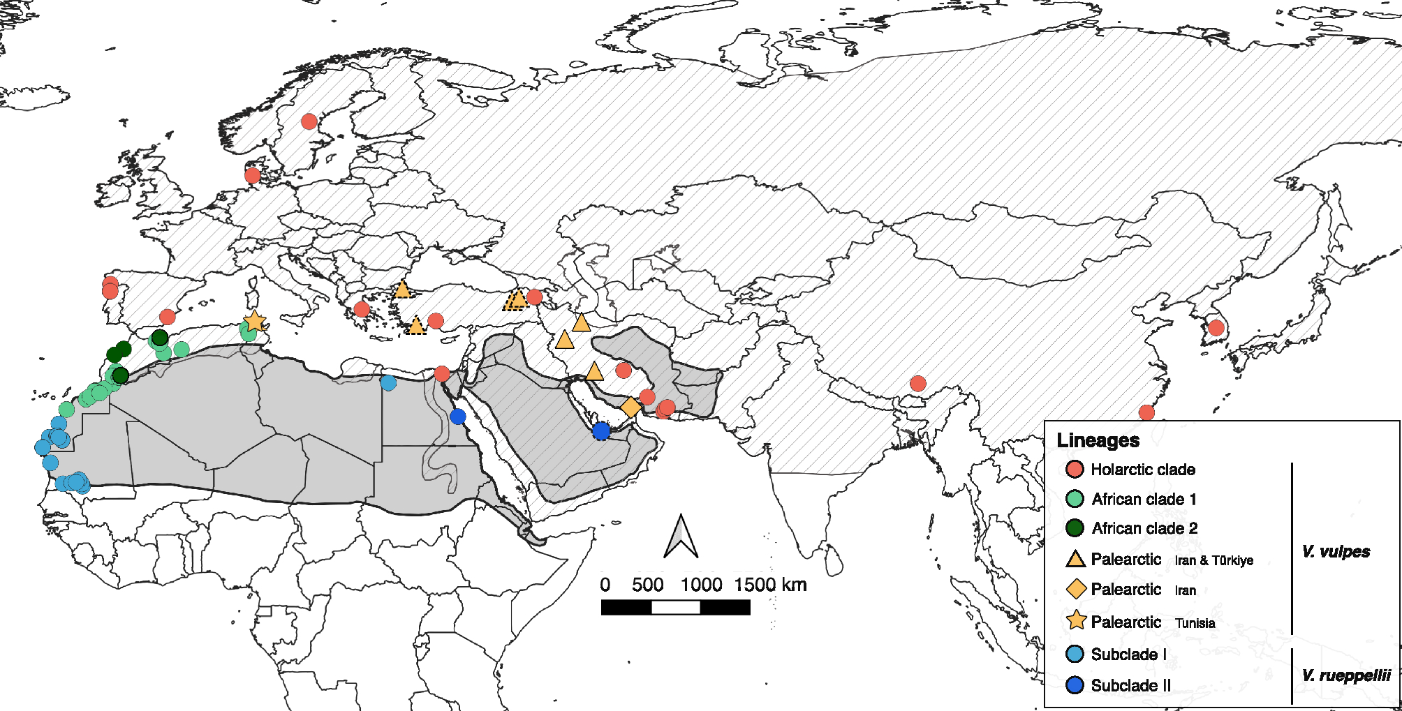 Map of red fox and Rüppell's fox mitogenome sampling locations across Europe, North Africa and Asia