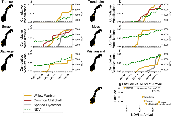 Charts showing cumulative acoustic detections of willow warbler, common chiffchaff and spotted flycatcher across six Norwegian regions during spring 2022