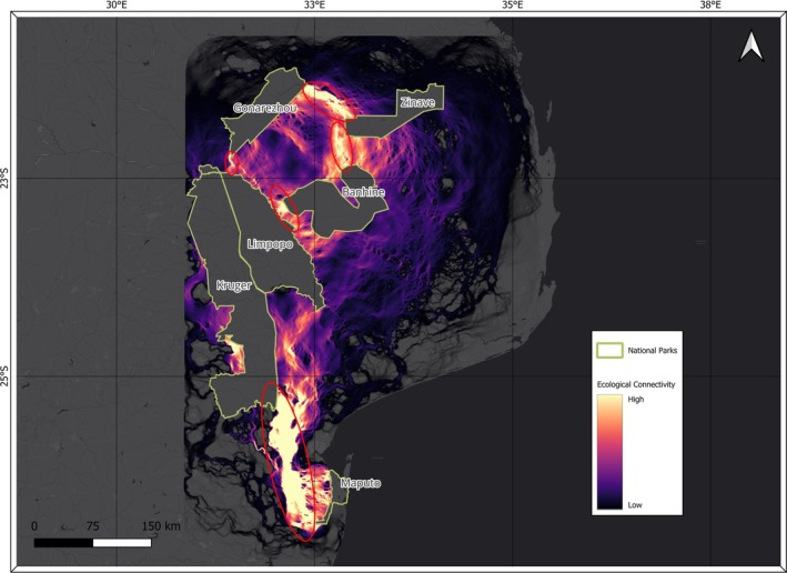 Map of modelled priority elephant connectivity areas and bottlenecks in southern Mozambique