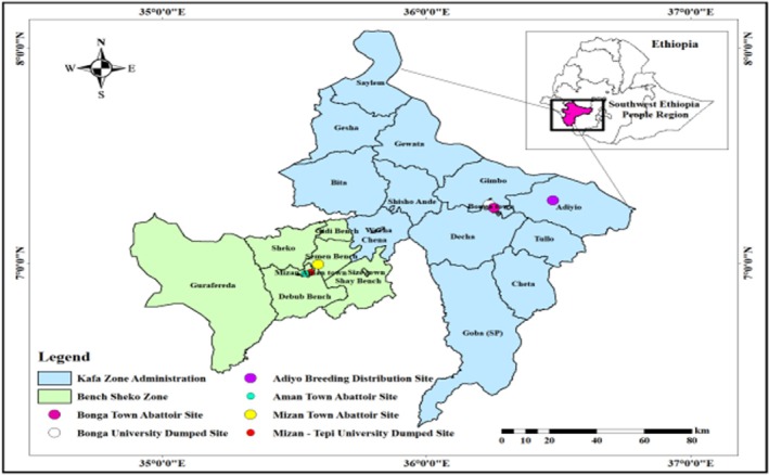 Map of white-backed vulture study sites in southwest Ethiopia