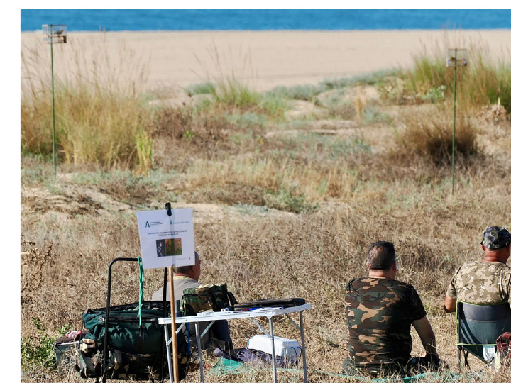 Two people wait beside a clap-trap while live finch decoys stand in small cages in the background