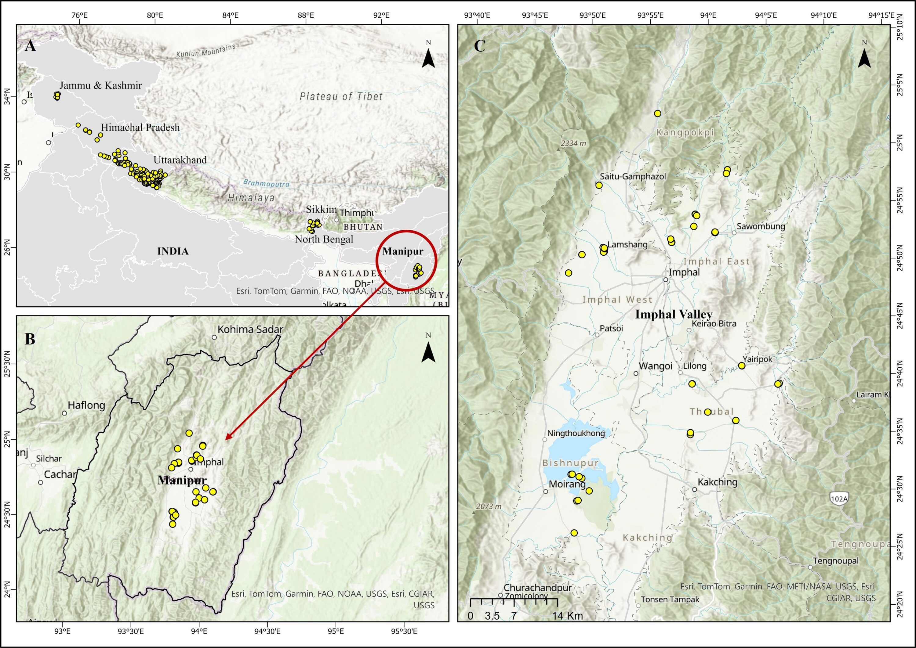 Map of barn swallow breeding and nest locations in Manipur and Imphal Valley