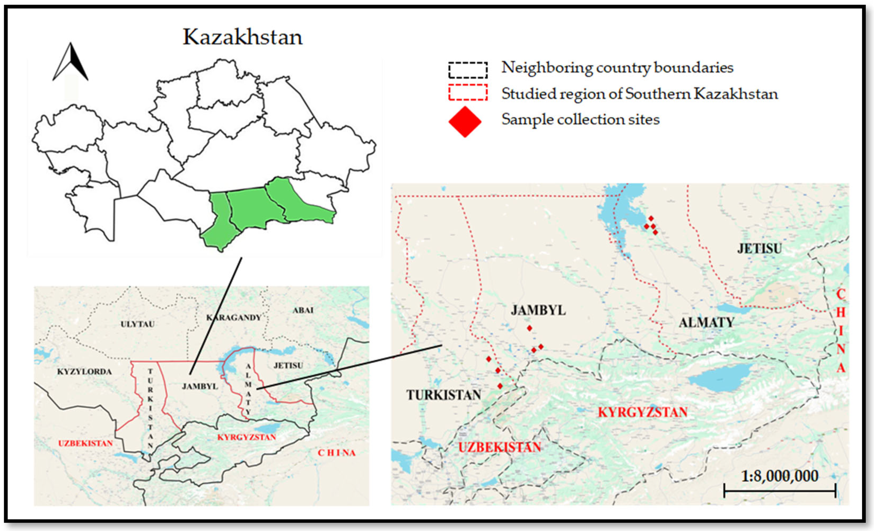 Map of southern Kazakhstan showing golden jackal sampling locations for the 2024–2025 helminth study