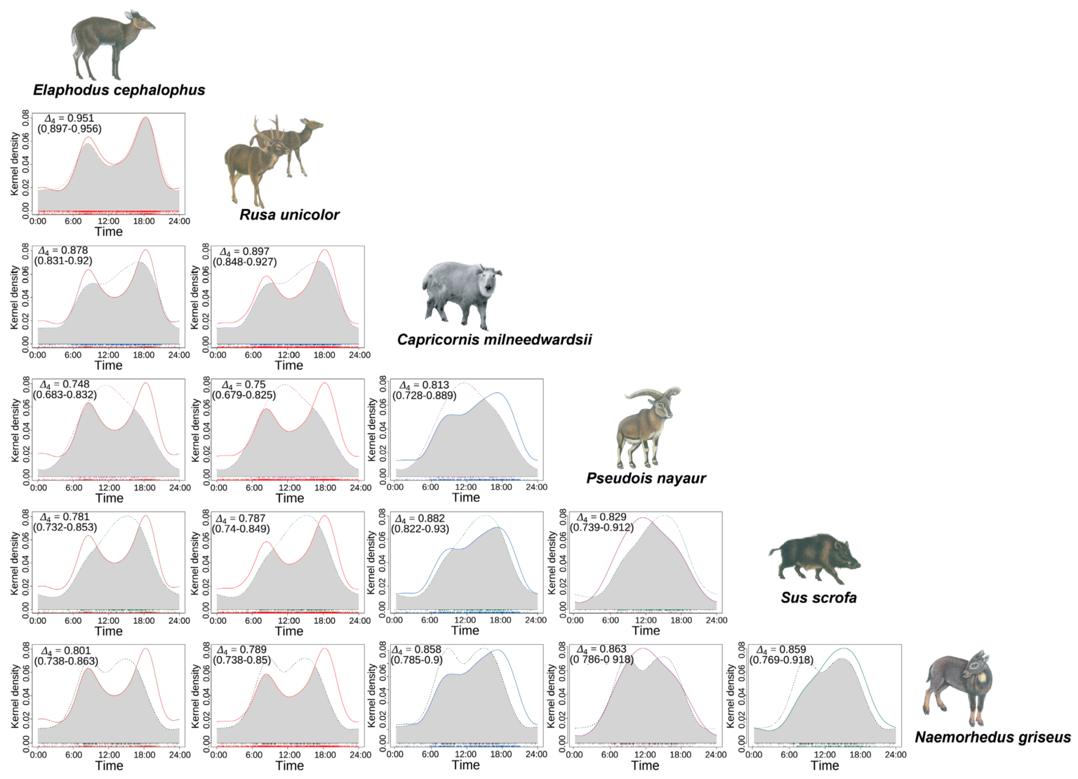 Daily activity curves and temporal overlap among six ungulate species
