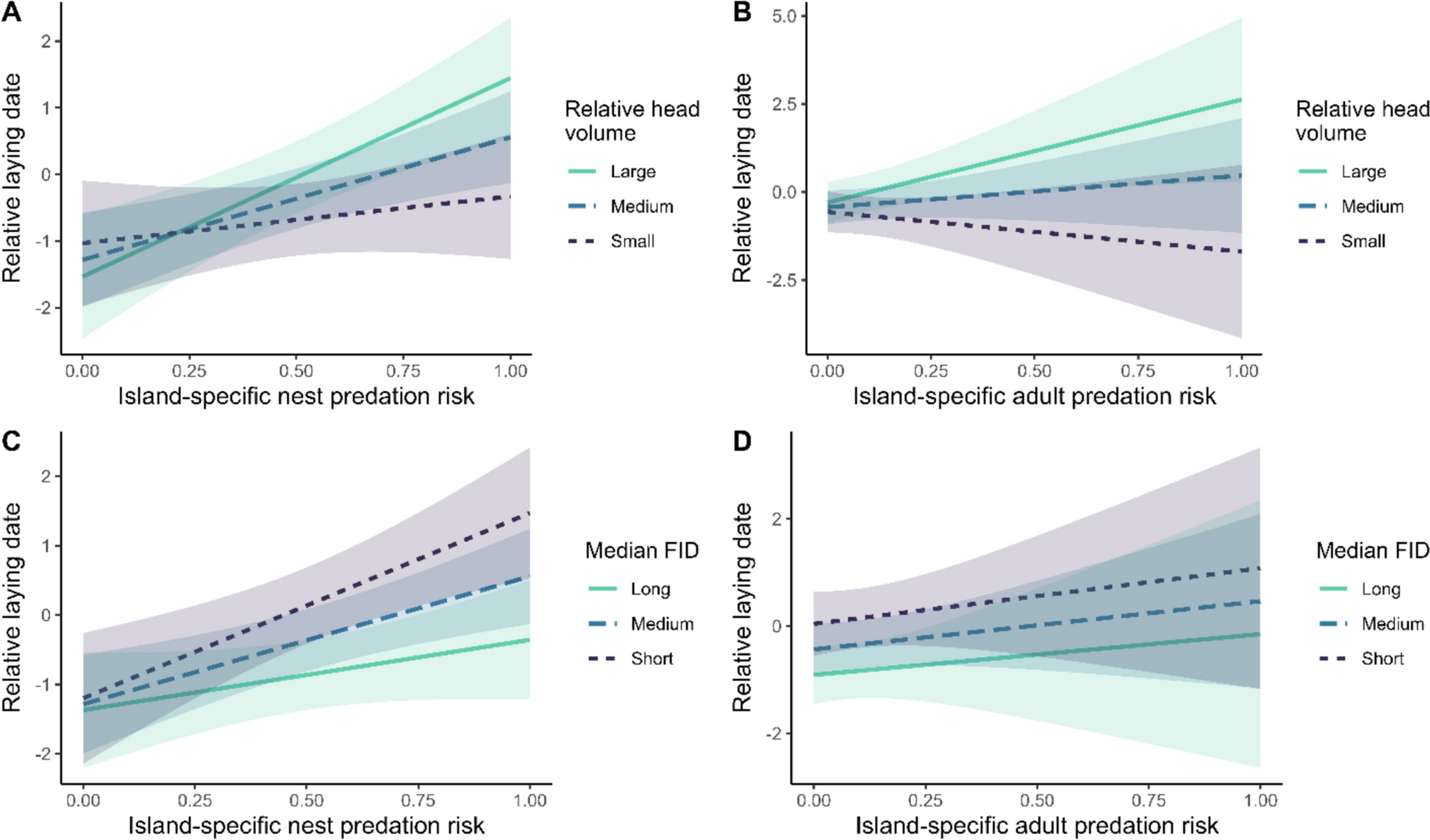 Predicted eider laying dates by head size, flight initiation distance and predation risk
