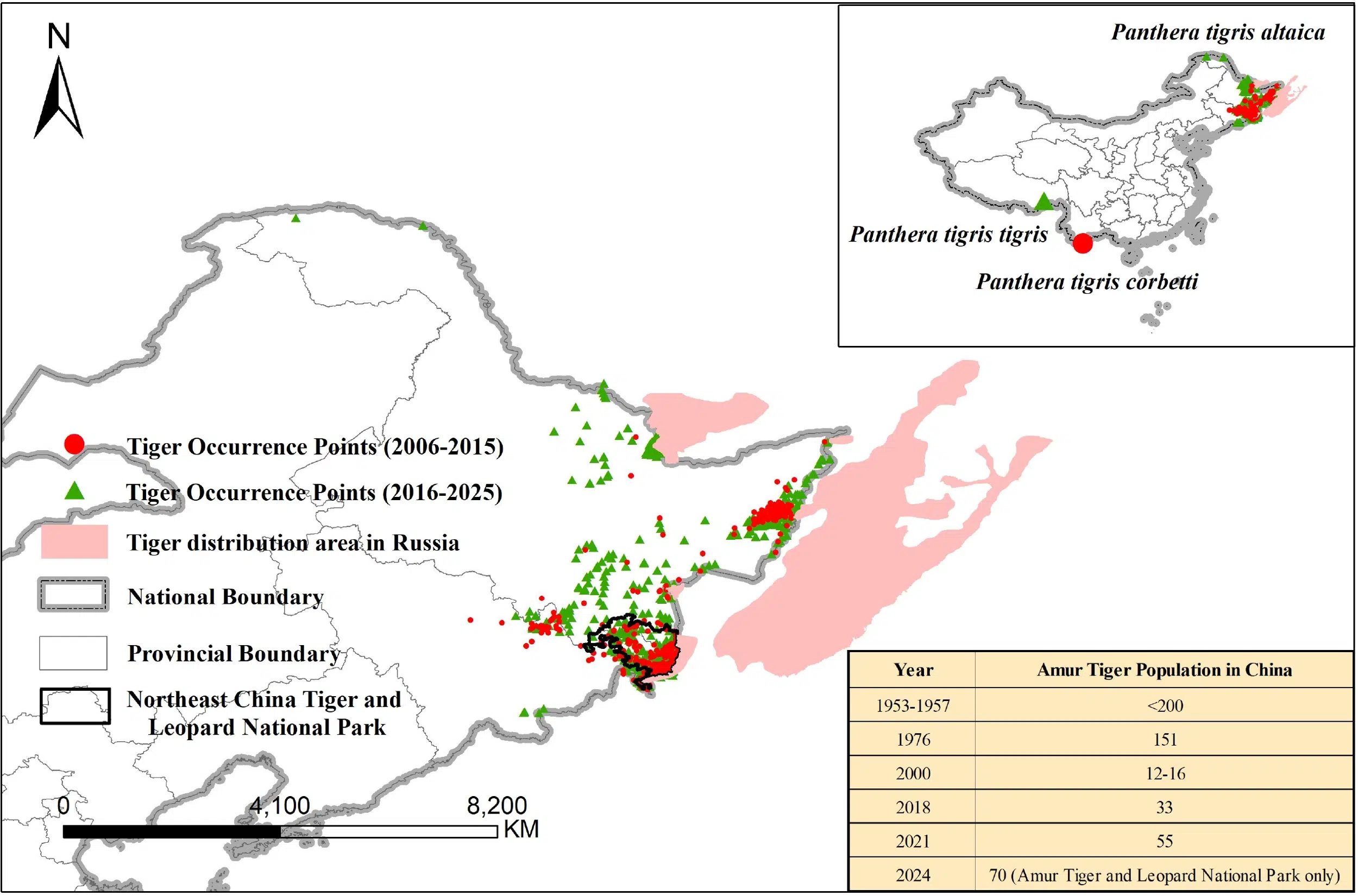 Map of Amur tiger occurrence points and distribution in northeast China and Russia