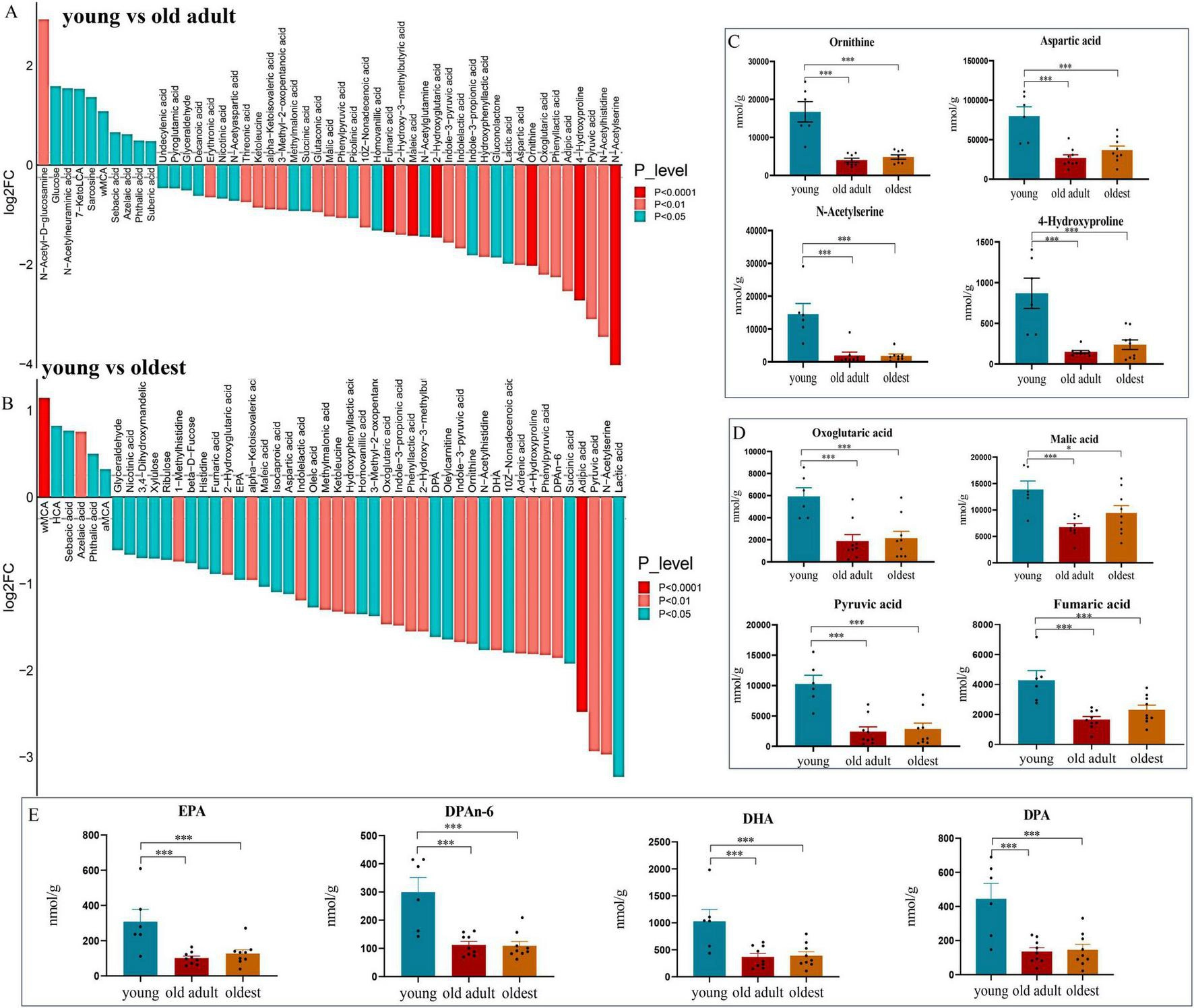 Scientific figure comparing amino acids, organic acids and fatty acids in fecal samples from young, old adult and oldest rhesus macaques