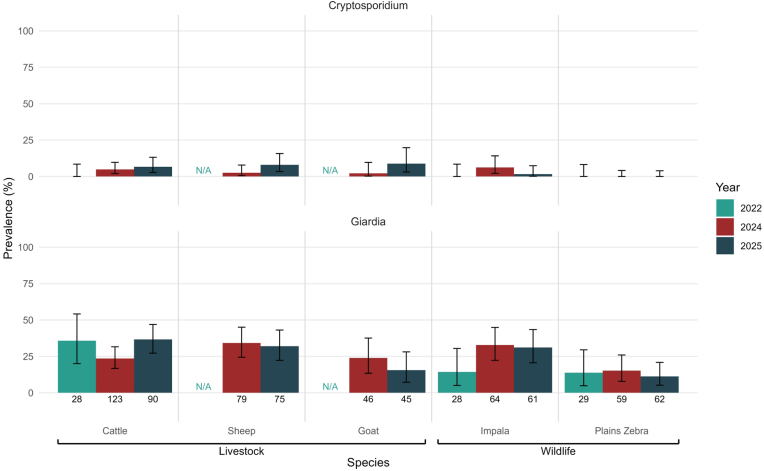 Søylediagrammer som viser observert forekomst av Giardia og Cryptosporidium i prøver fra storfe, sau, geit, impala og steppesebra i Laikipia i 2022, 2024 og 2025