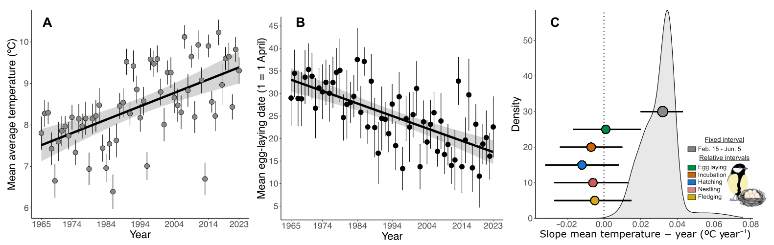 Spring temperature, laying dates and temperature trends during reproduction