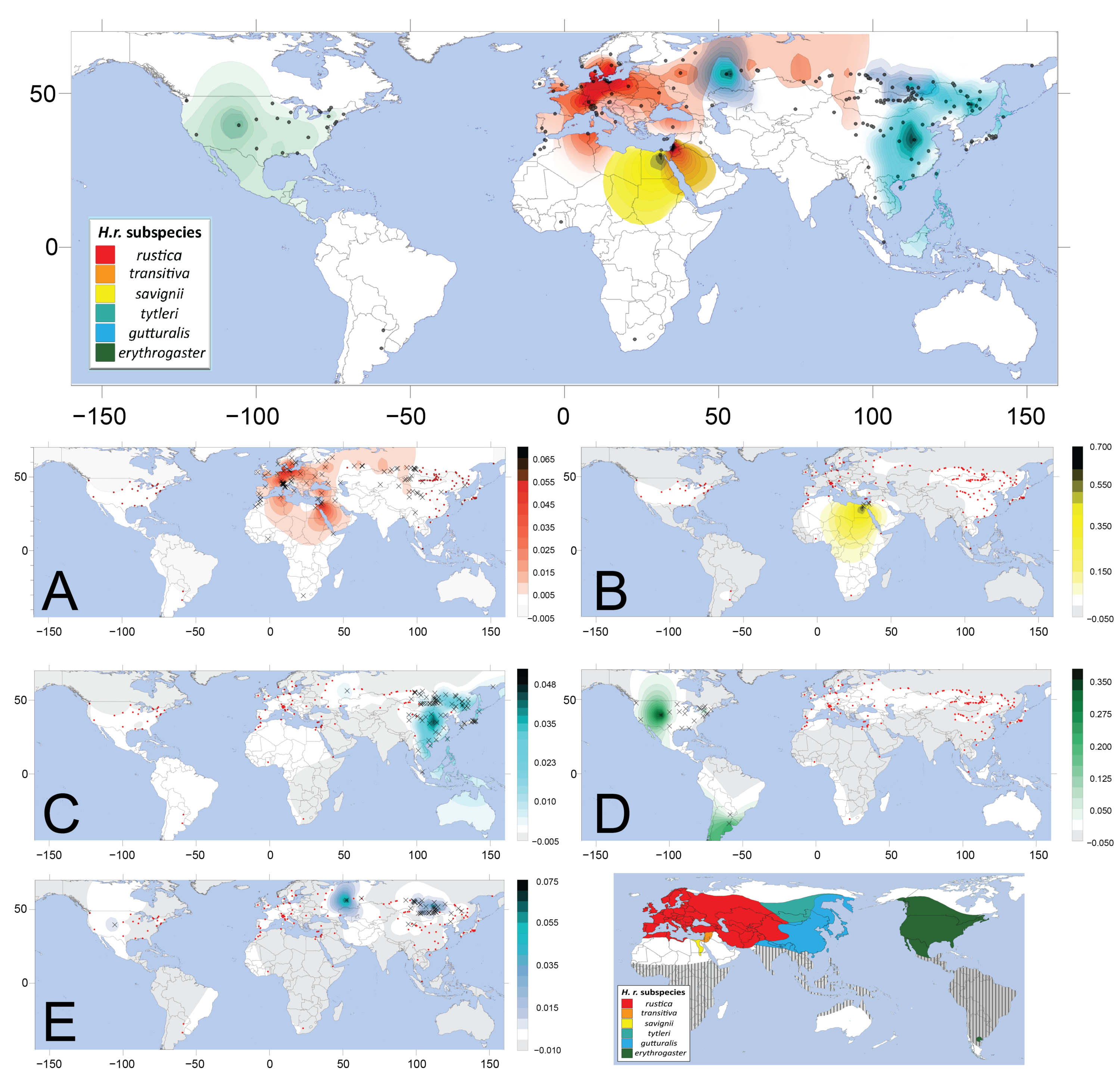 Maps showing geographic frequencies of five main barn swallow mitochondrial haplogroups