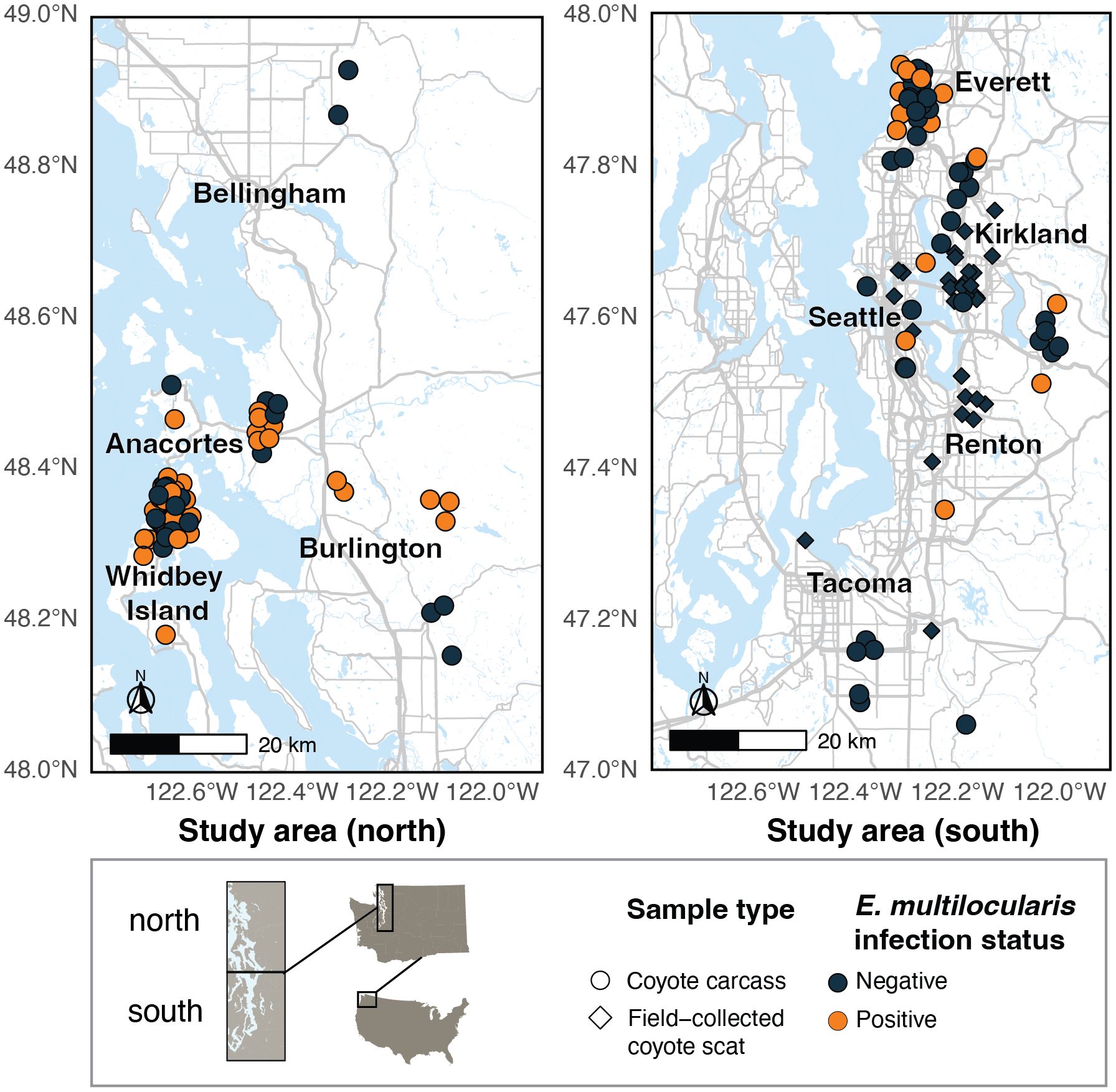 Kart over prøvelokaliteter for prærieulv og Echinococcus multilocularis-status i vestlige Washington