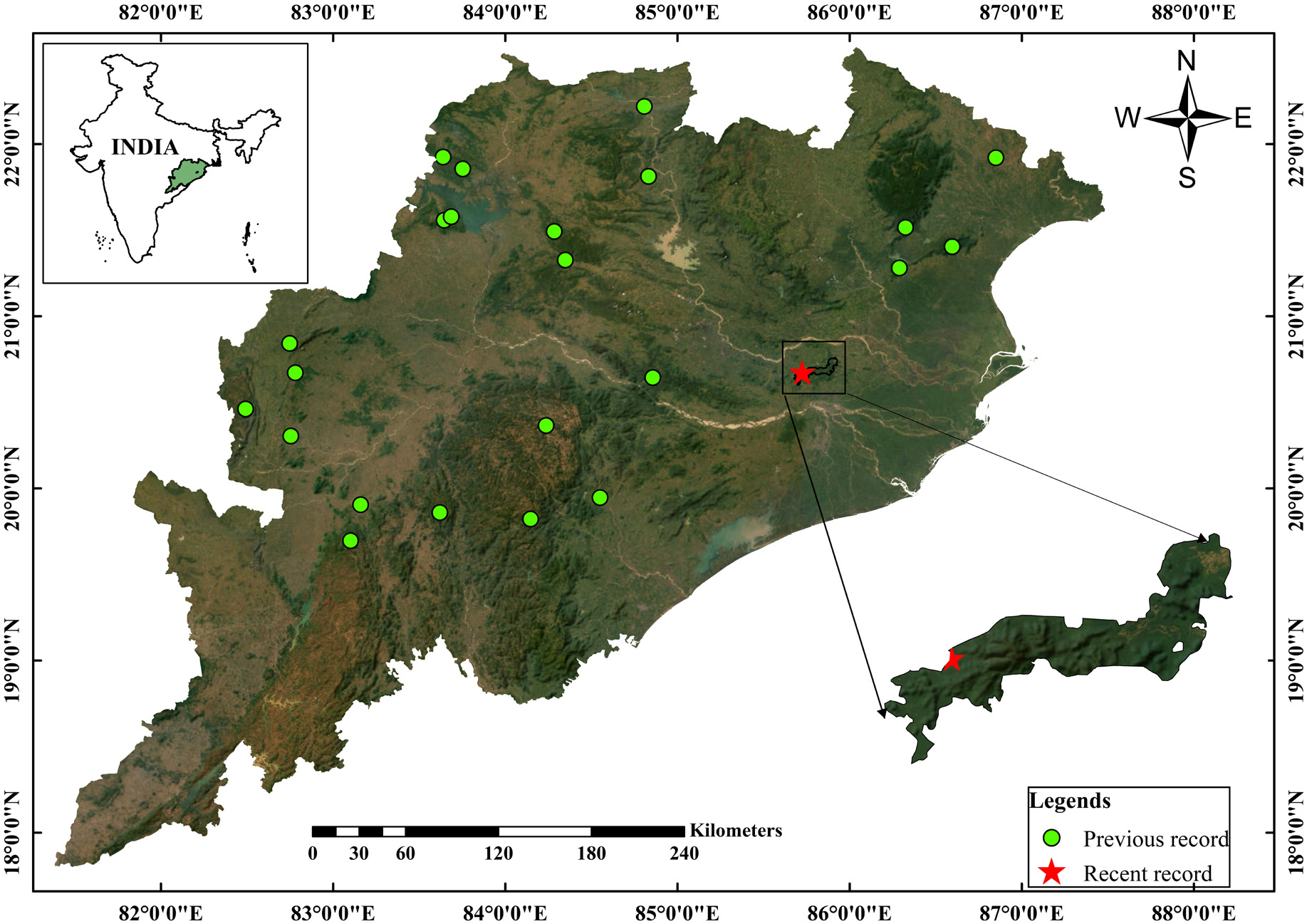 Map of rusty-spotted cat records in Odisha