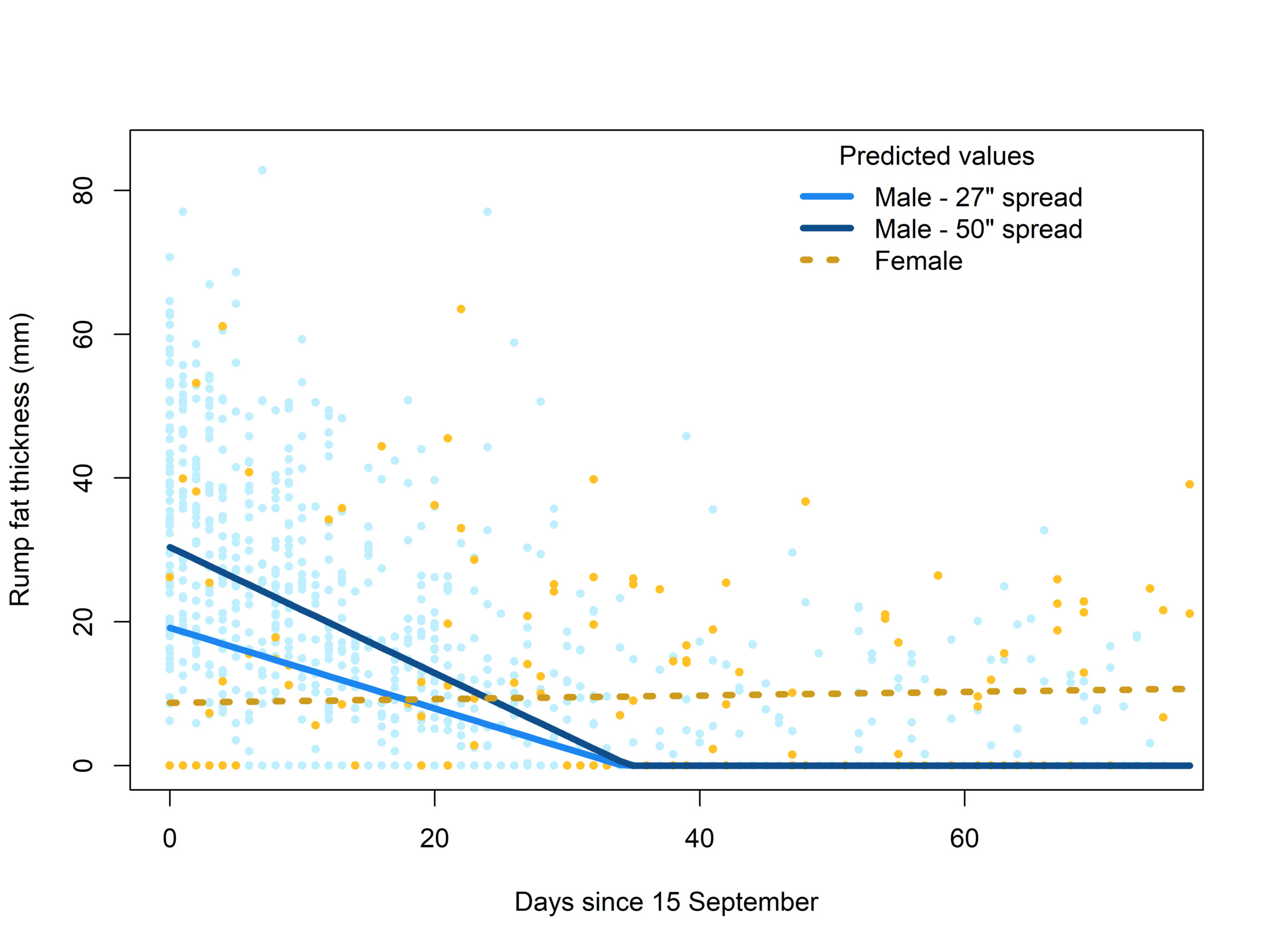 Observed and predicted rump fat thickness for small-antlered males, large-antlered males and females through the Montana moose hunting season