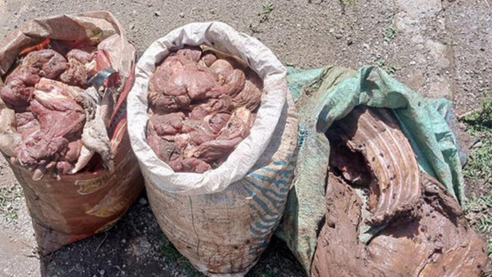Confiscated wild meat stored in sacks in Kenya