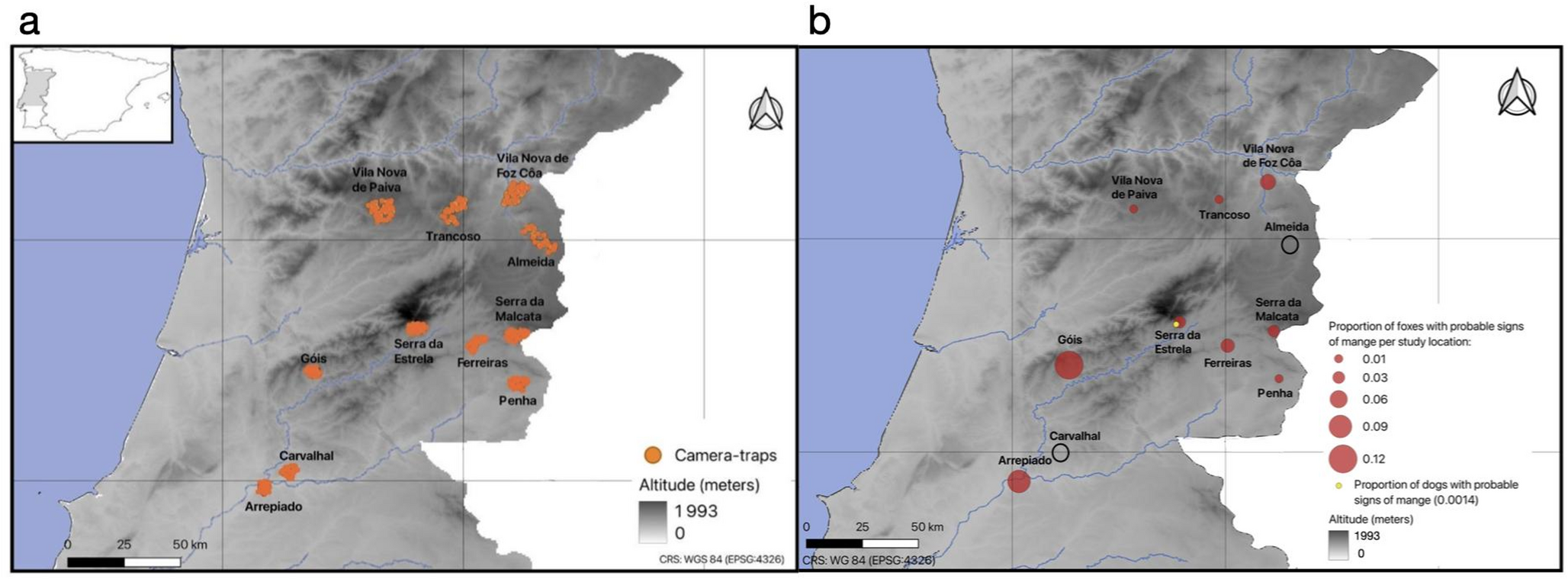 Camera locations and mange-compatible signs in Central Portugal