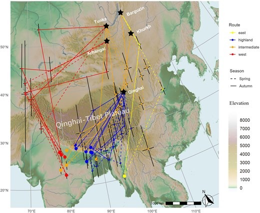Map of four migration route types used by Asian stonechats around and across the Qinghai-Tibet Plateau